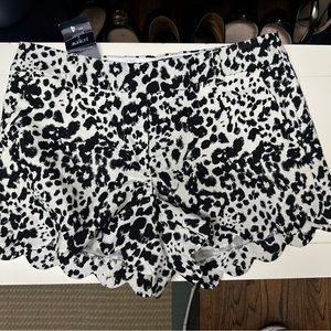 J. Crew NWT Women’s Shorts Scalloped Leg 4